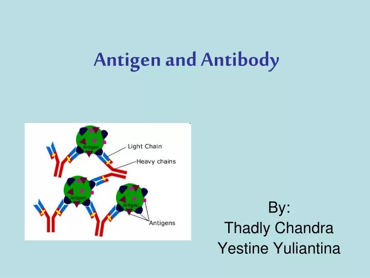 antigen and antibody