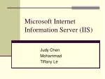 Microsoft Internet Information Server (IIS)