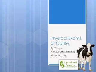 Physical Exams of Cattle