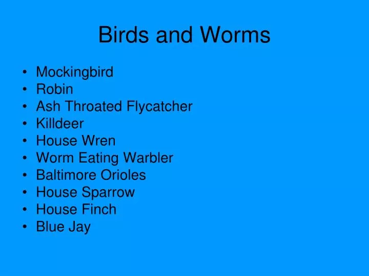 birds and worms