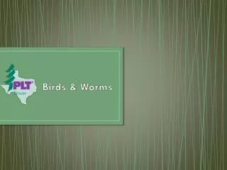 Birds &amp; Worms
