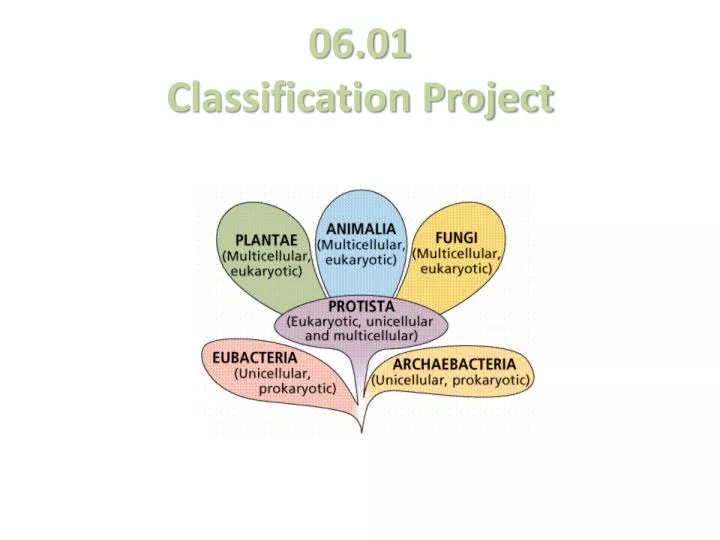06 01 classification project
