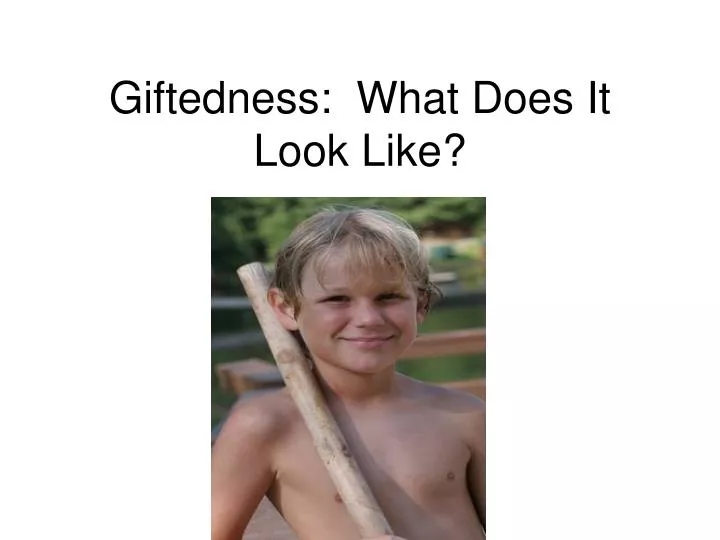 giftedness what does it look like