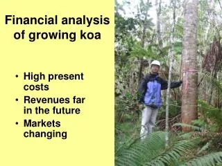 Financial analysis of growing koa