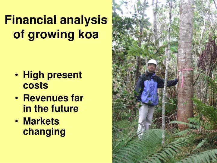 financial analysis of growing koa