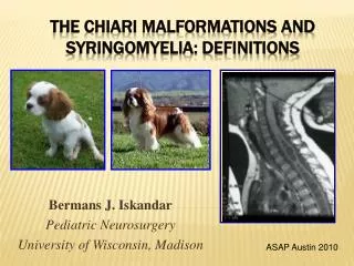 The Chiari Malformations and syringomyelia: Definitions