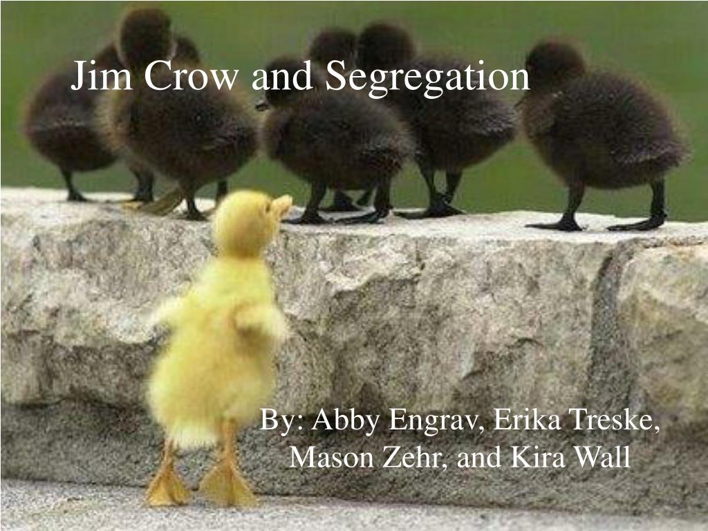 PPT - Jim Crow and Segregation PowerPoint Presentation, free download ...