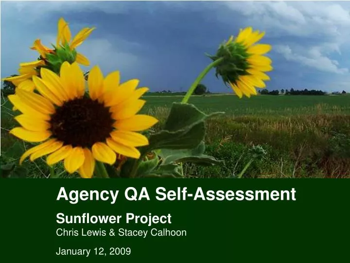 agency qa self assessment sunflower project chris lewis stacey calhoon