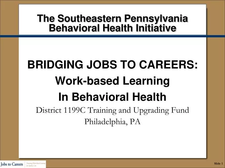 the southeastern pennsylvania behavioral health initiative