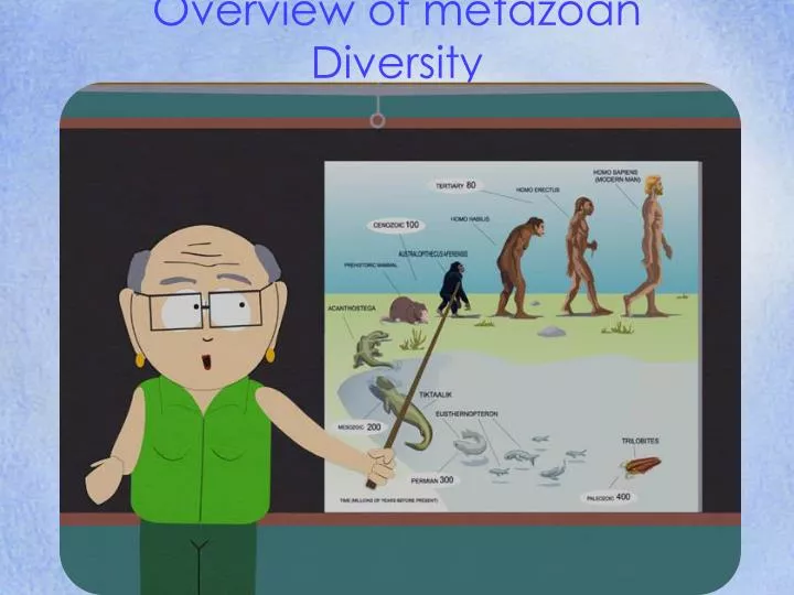 overview of metazoan diversity