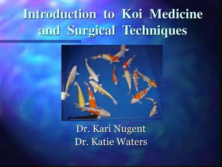 introduction to koi medicine and surgical techniques