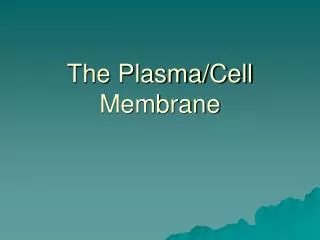 The Plasma/Cell Membrane