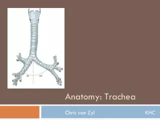 Anatomy: Trachea