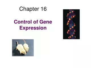 Chapter 16 Control of Gene Expression