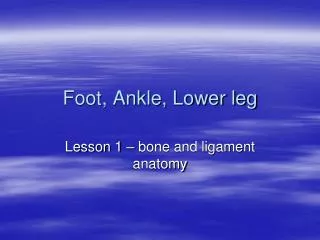 Foot, Ankle, Lower leg