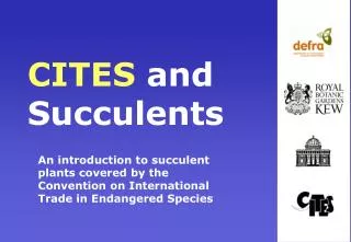 CITES and Succulents