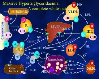 Massive Hypertriglyceridaemia : 		 A complete white-out,