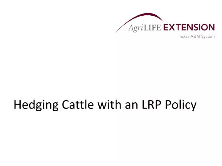 hedging cattle with an lrp policy