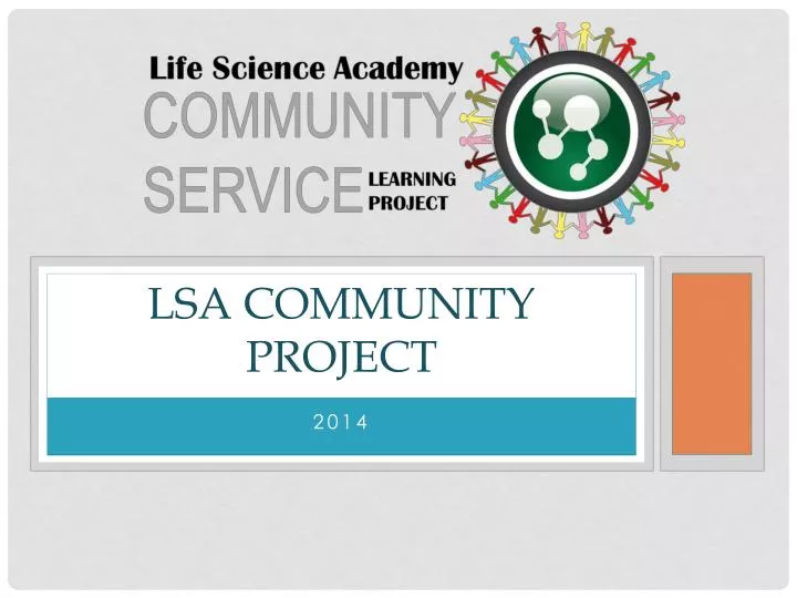 lsa community project