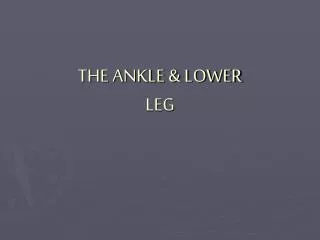 THE ANKLE &amp; LOWER LEG