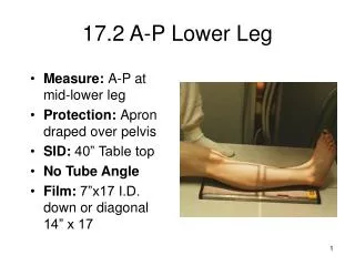 17.2 A-P Lower Leg