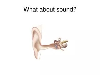 What about sound?