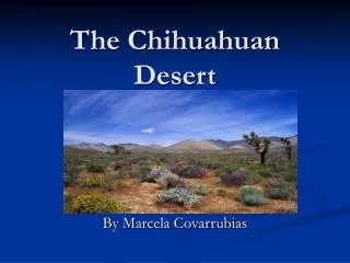 The Chihuahuan Desert