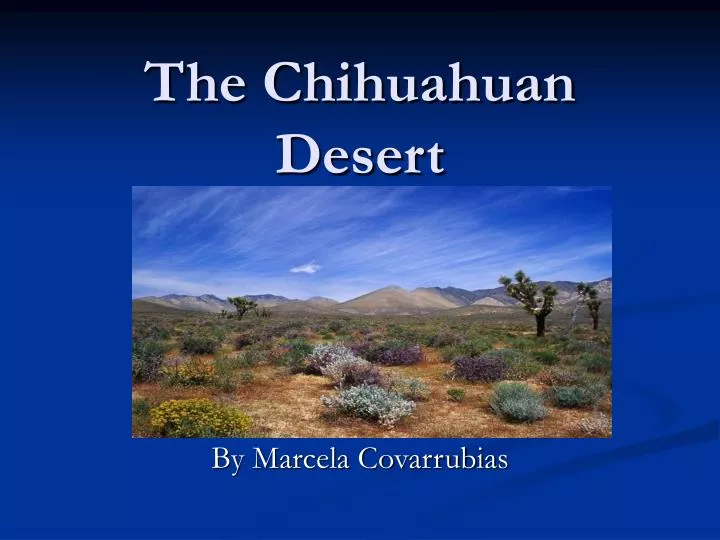 the chihuahuan desert