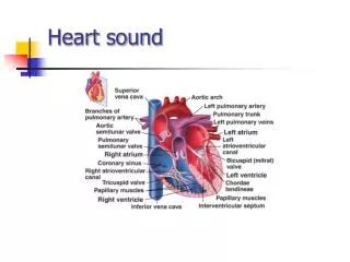 Heart sound