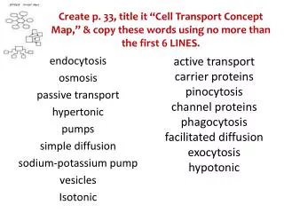 endocytosis osmosis passive transport hypertonic pumps simple diffusion sodium-potassium pump