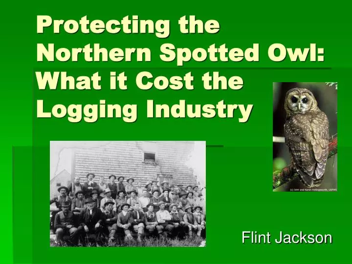 protecting the northern spotted owl what it cost the logging industry