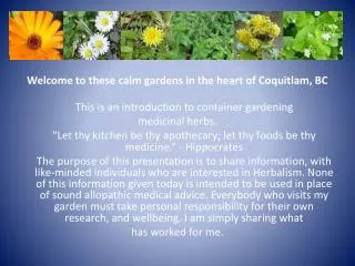 Welcome to these calm gardens in the heart of Coquitlam, BC