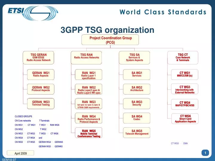 3gpp tsg organization