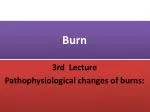 Understanding Pathophysiological Changes in Burn Injuries: Metabolic and Neuromuscular Complications - slide 1