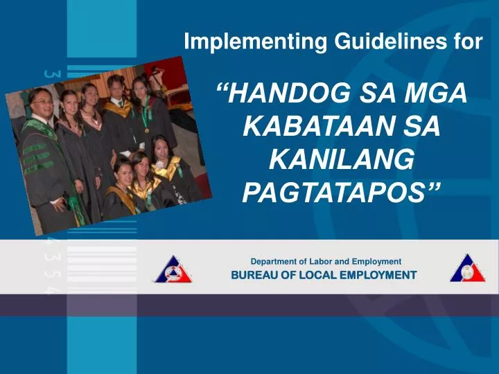 implementing guidelines for