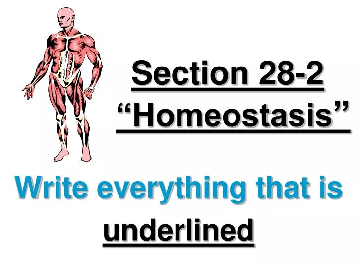 section 28 2 homeostasis