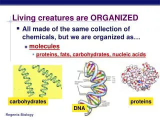 living creatures are organized