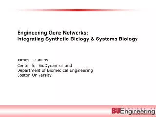Engineering Gene Networks: Integrating Synthetic Biology &amp; Systems Biology