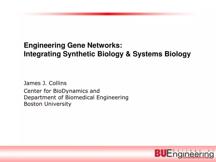engineering gene networks integrating synthetic biology systems biology