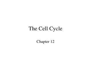 The Cell Cycle