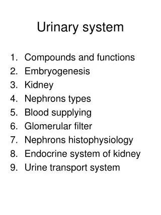 Urinary system