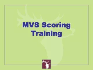 MVS Scoring Training