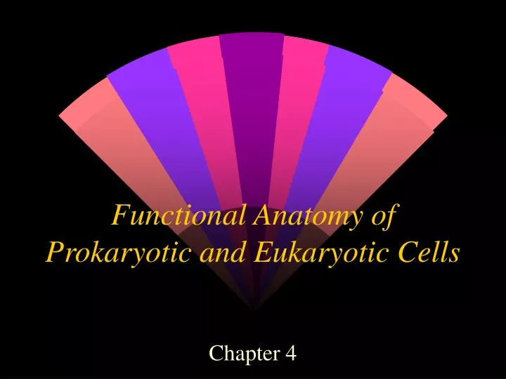 functional anatomy of prokaryotic and eukaryotic cells
