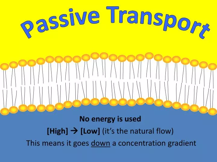 no energy is used high low it s the natural flow this means it goes down a concentration gradient