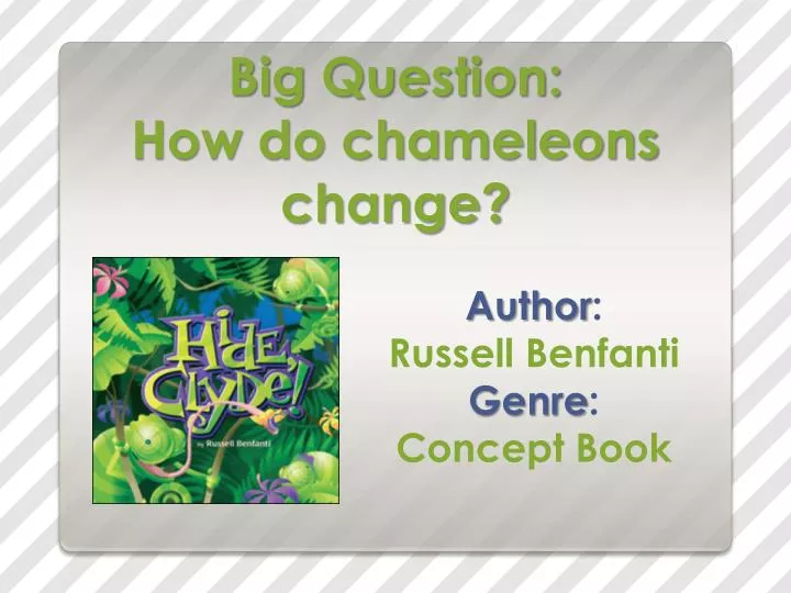 big question how do chameleons change