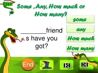 some any how much or how many