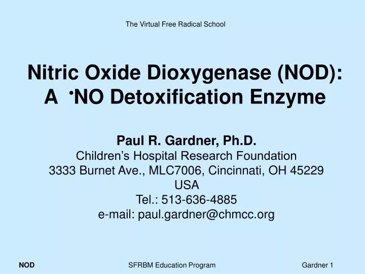 nitric oxide dioxygenase nod a no detoxification enzyme