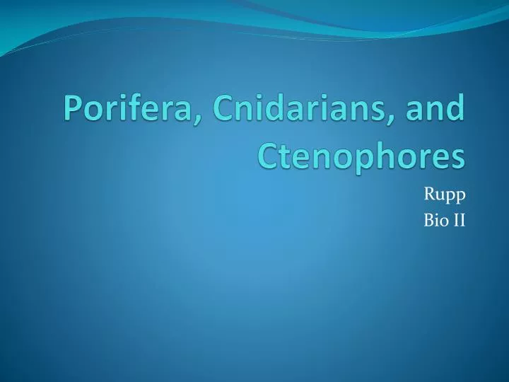 porifera cnidarians and ctenophores