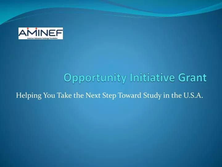 opportunity initiative grant