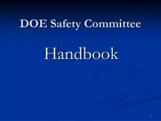 DOE Safety Committee